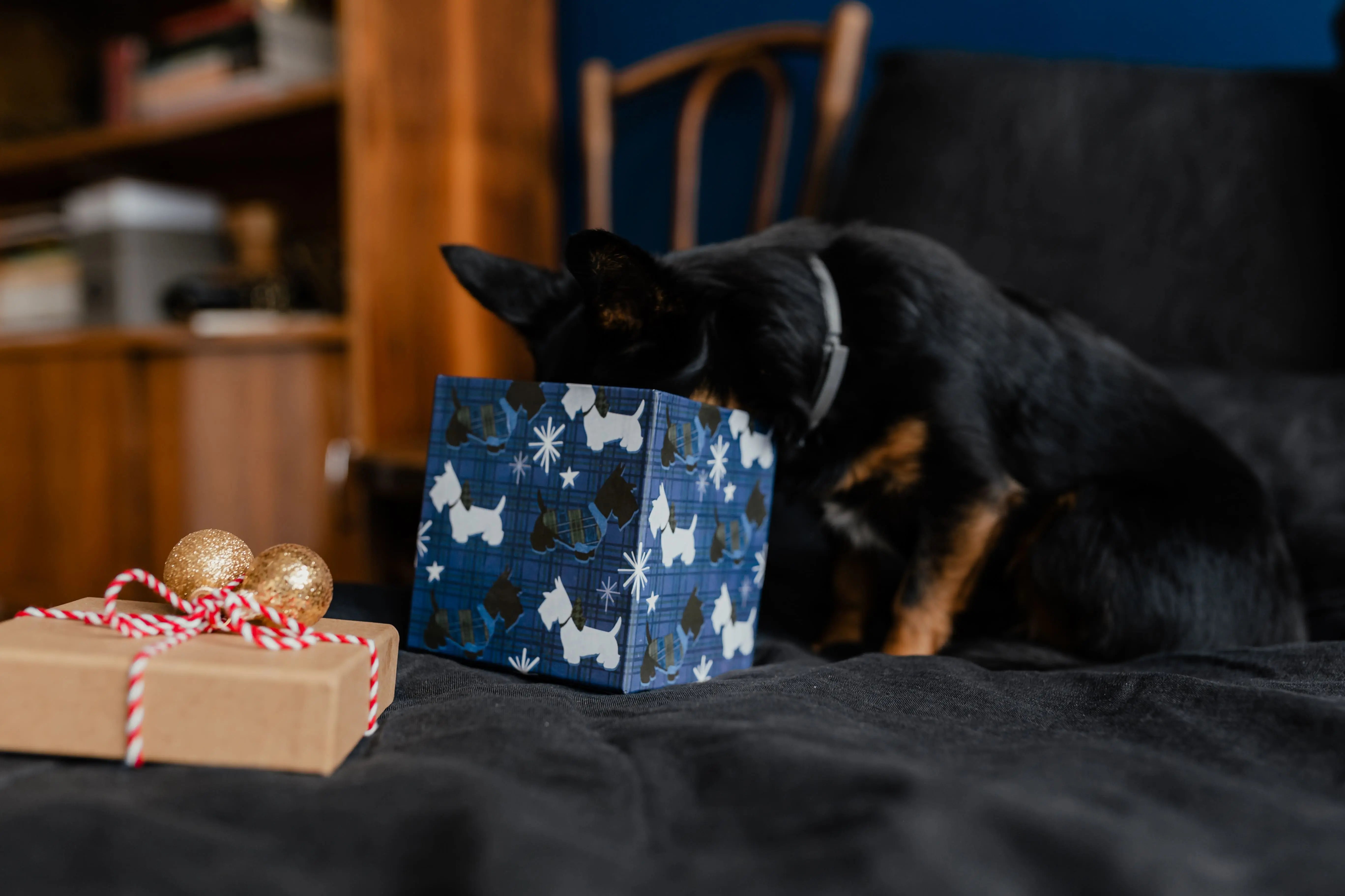 Show Love To Your Pets By Giving Stuffed Animals That Look Like Real Dogs
